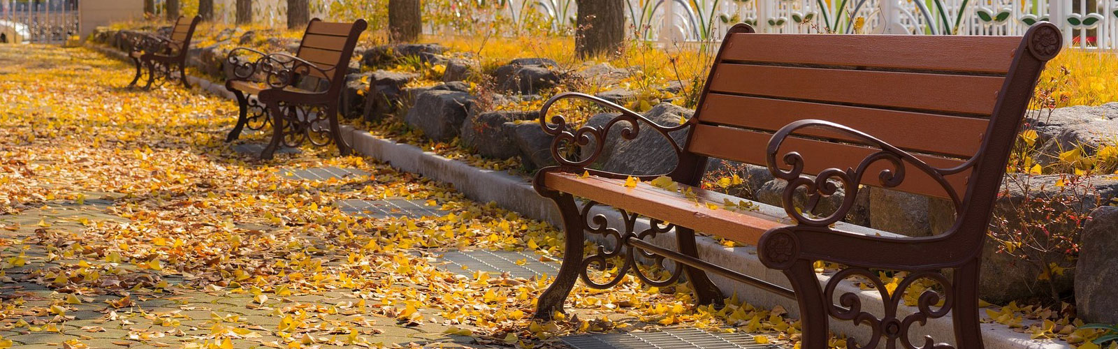 طراحی نیمکت پارکی برای افراد پیر اهمیت زیادی دارد جهت استعلام قیمت و خرید انواع نیمکت پارکی چوبی فلزی بتنی چدنی شیک مدرن با کیفیت و ارزان با کارشناسان شرکت پارک سازان درازتباط باشید